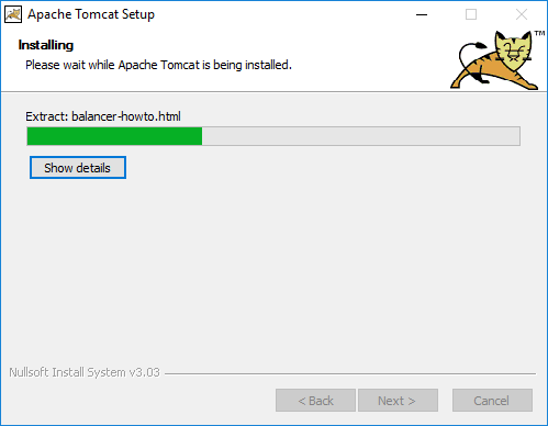 Figure 2.21: Tomcat Installing