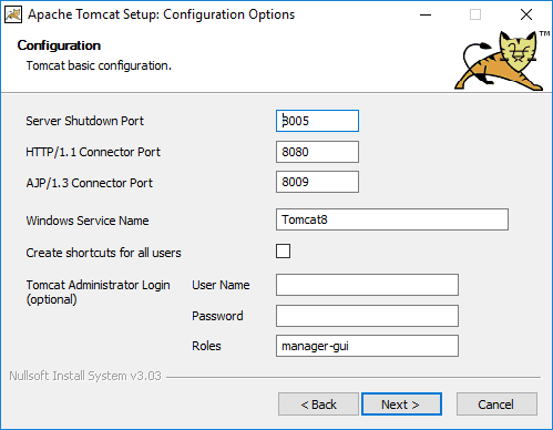 Figure 2.18: Tomcat Options