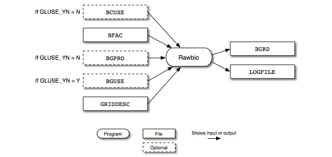 Rawbio input and output files