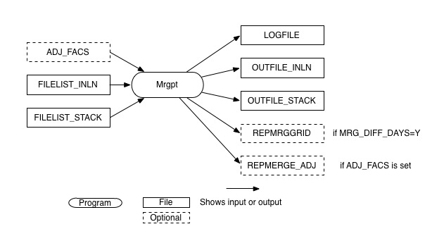 Mrgpt input and output files